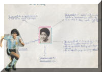 collage1